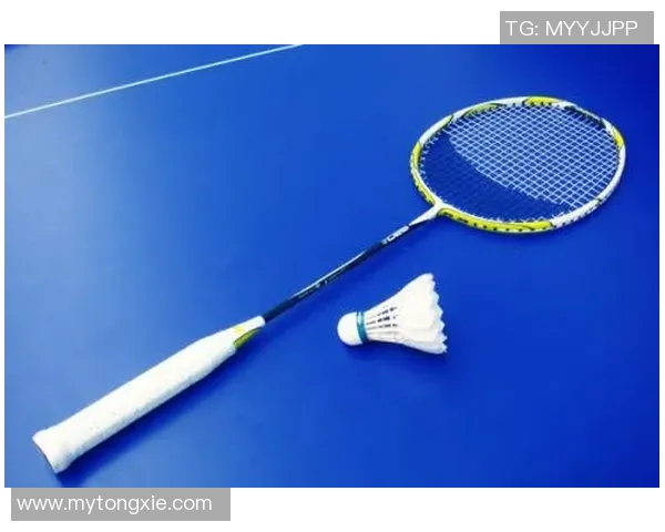 羽毛球比赛高强度对拉阶段运动员体力消耗与恢复规律分析及其影响因素研究